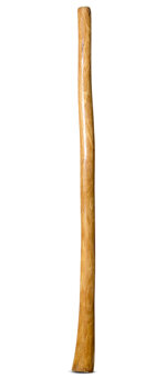 Gloss Finish Didgeridoo (TW1157)